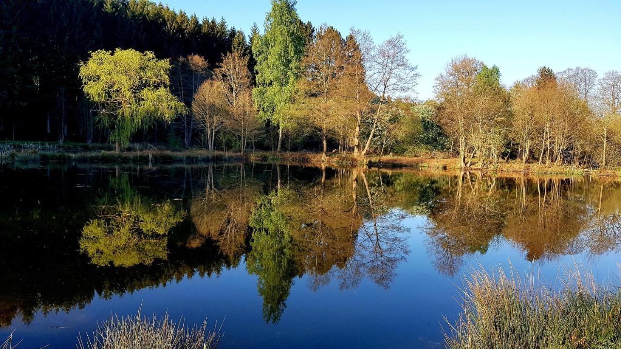 Les Etangs Du Thioux Guest House Malmedy Kültér fotó